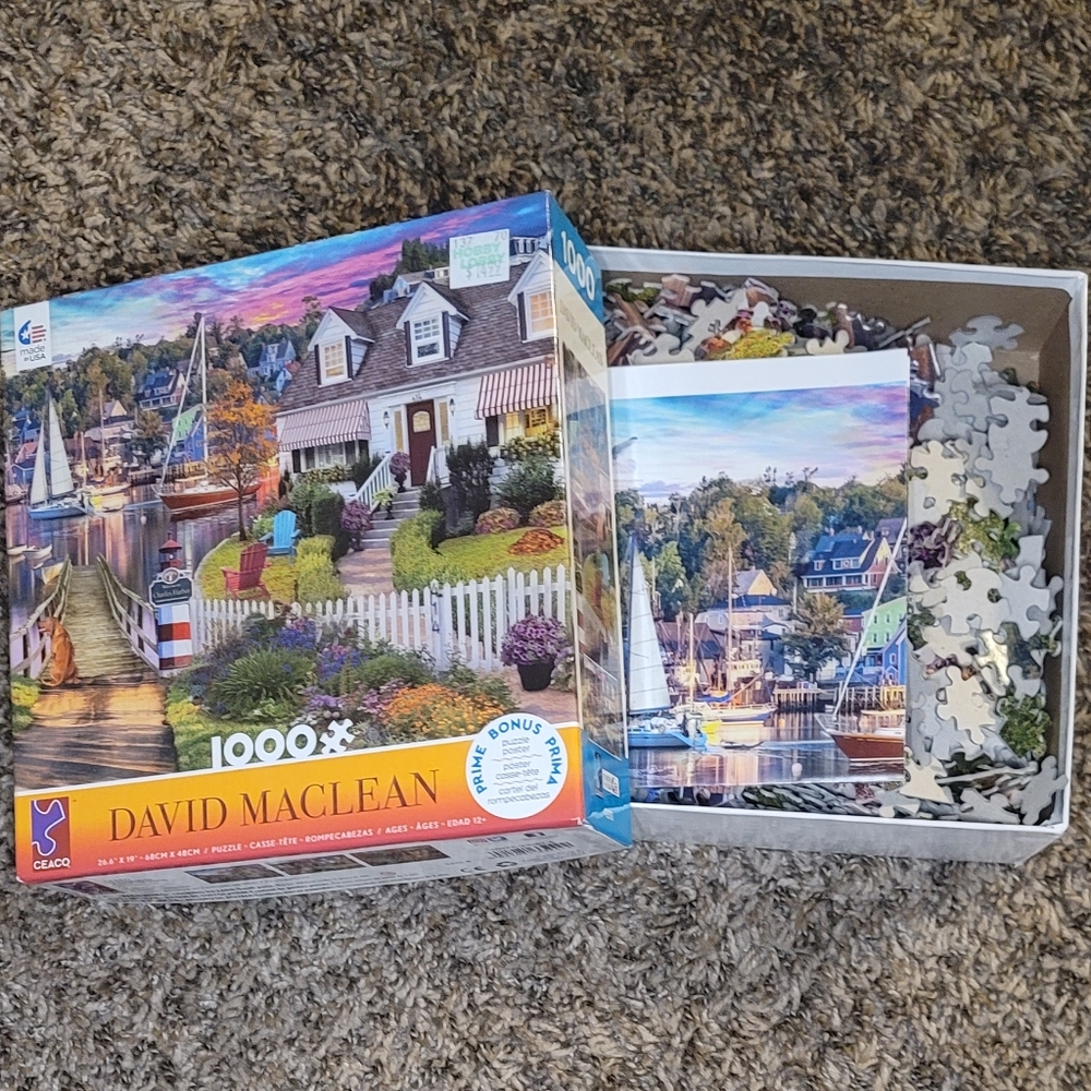 🧩 Puzzle 🧩 David MacLean CEACO 1000 Piece